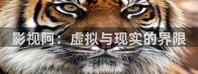 星辰影视大全免费看