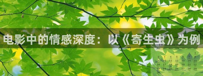 侠之大者星辰影院