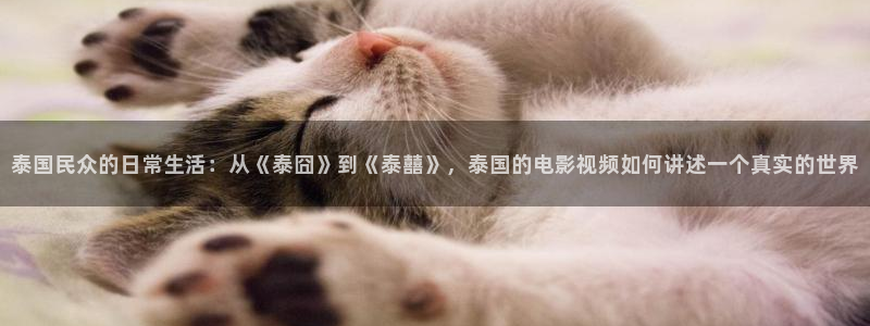 宫锁珠帘免费观看星辰影院