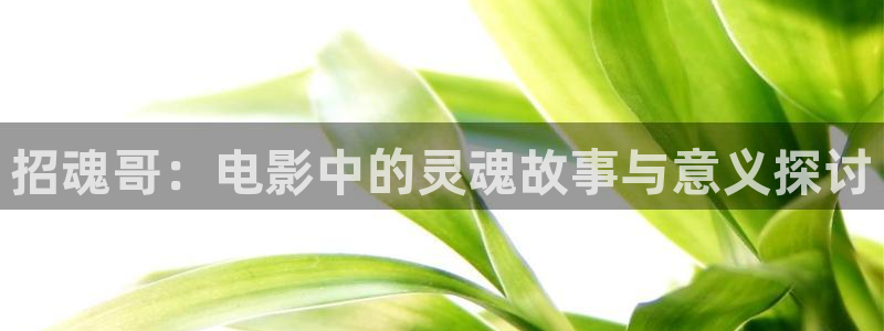 阴阳先生星辰影院