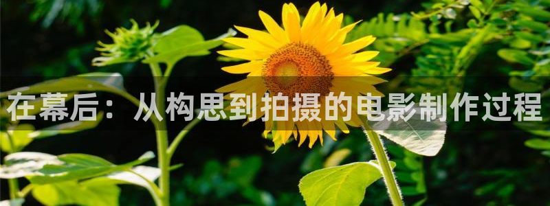 星辰在线观看免费高清完整电影
