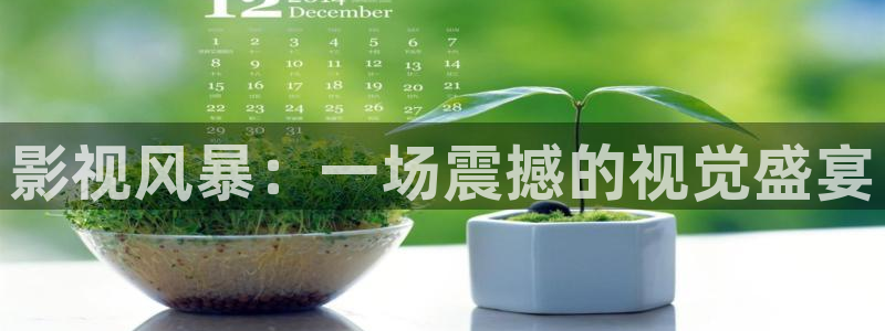 狂飙电视剧星辰影院全集免费播放