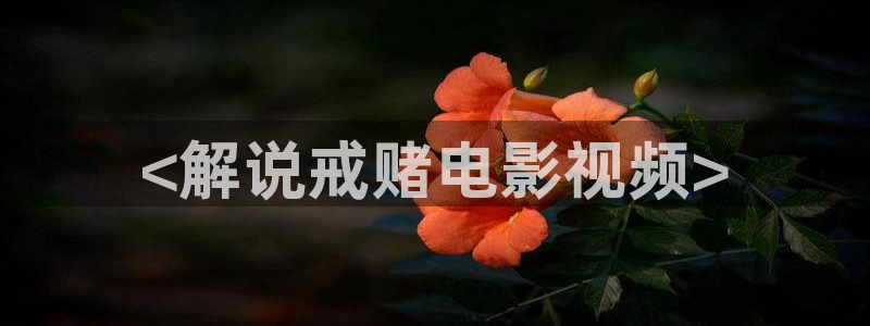 长相思第二季星辰影院：<解说戒赌电影视频>