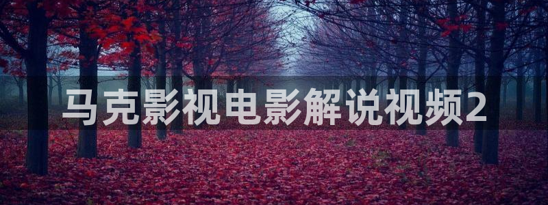 星辰影视 下载
