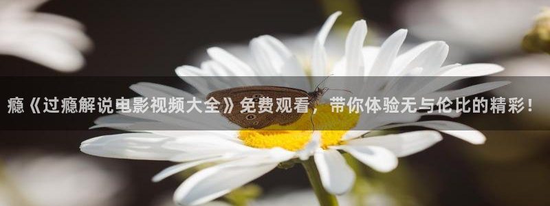 星辰影院电视剧在线看免费完整版：瘾《过瘾解说电影视频大全》免费观看，带你体验无与伦比的精彩！