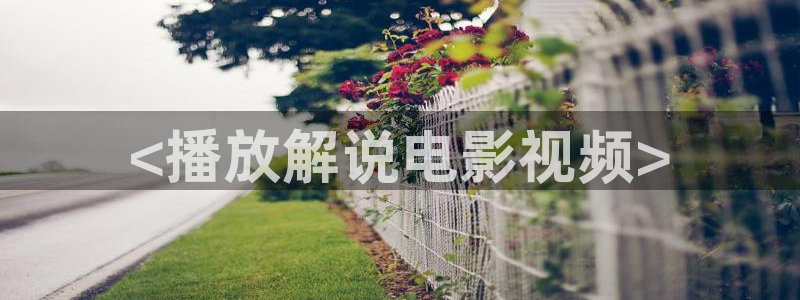 星辰影院网页版：<播放解说电影视频>