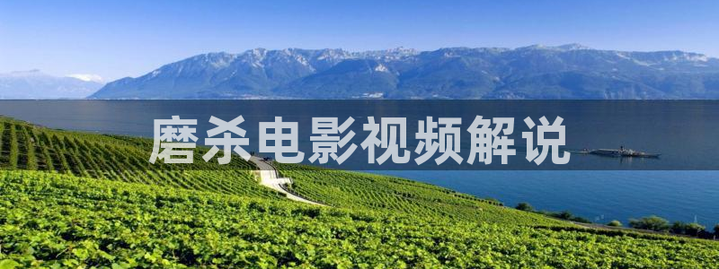 星辰电影网址：磨杀电影视频解说
