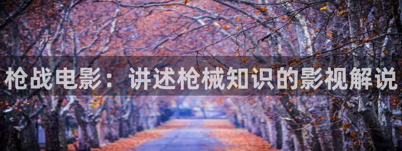 骄阳伴我星辰影院免费观看：枪战电影：讲述枪械知识的影视解说