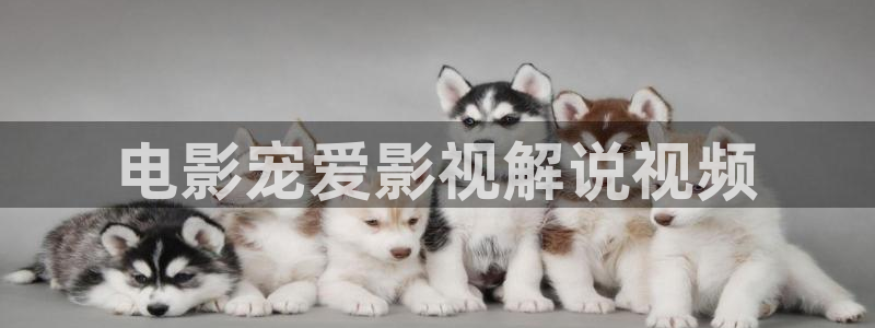 蛮好的人生免费观看完整版星辰影院：电影宠爱影视解说视频