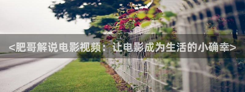 星辰电影在线观看免费观看：<肥哥解说电影视频：让电影成为生活的小确幸>