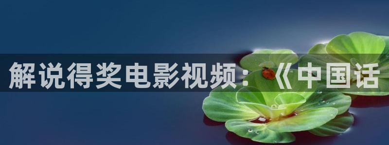 那年花开月正圆星辰影院：解说得奖电影视频：《中国话