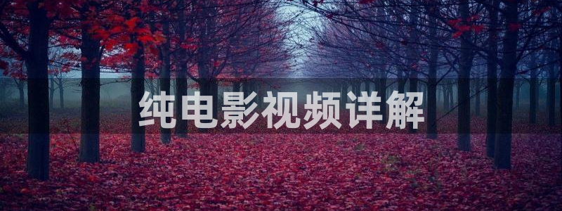 这是我的西游综艺星辰影院免费观看：纯电影视频详解