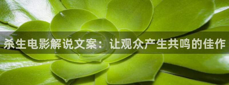 星辰电影在线看：杀生电影解说文案：让观众产生共鸣的佳作