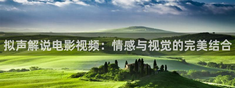 网剧《冬至》星辰影院：拟声解说电影视频：情感与视觉的完美结合