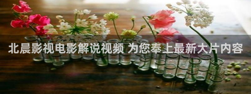 星辰影院最新版：北晨影视电影解说视频 为您奉上最新大片内容