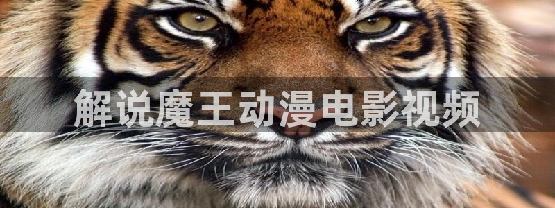 星辰影院电影在线观看免费：解说魔王动漫电影视频