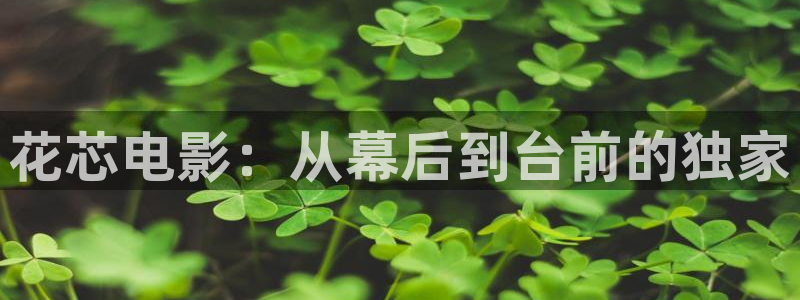星辰魅影：花芯电影：从幕后到台前的独家