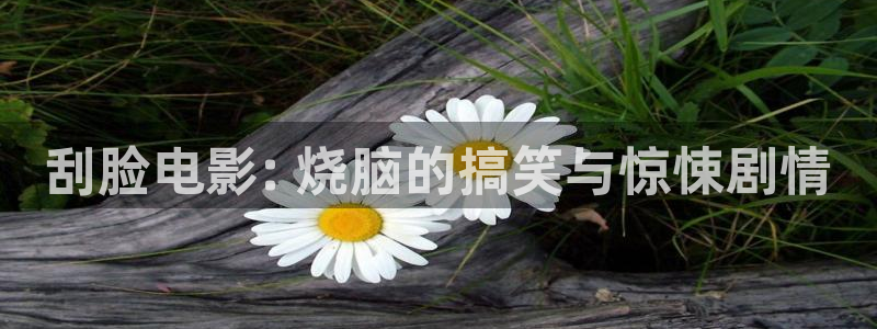 星辰影院最新电影免费观看