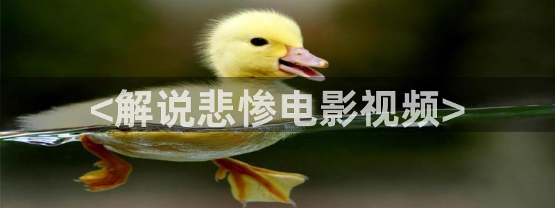 欢乐颂4星辰影院免费观看