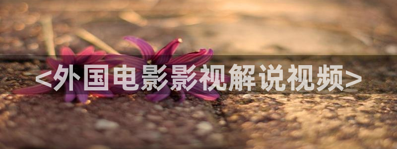 武工队传奇星辰影院在线观看：<外国电影影视解说视频>