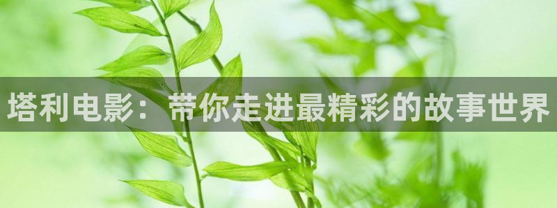 值得爱电视剧在线观看全集星辰影院