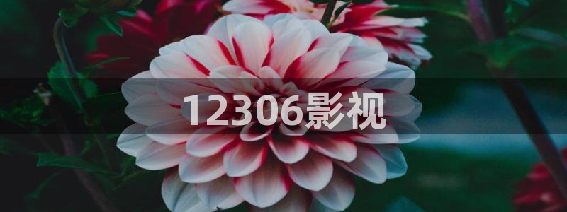 星辰影院免费在线观看电视剧
