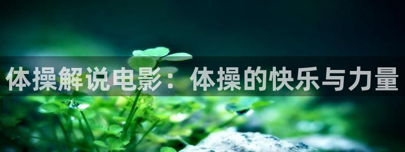 与凤行电视剧免费观看星辰影院