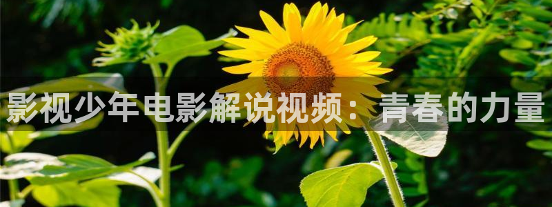 星辰于我漫画下拉式奇漫屋六漫画