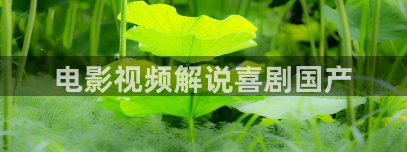 星辰影院免费观看电视剧电影网站
