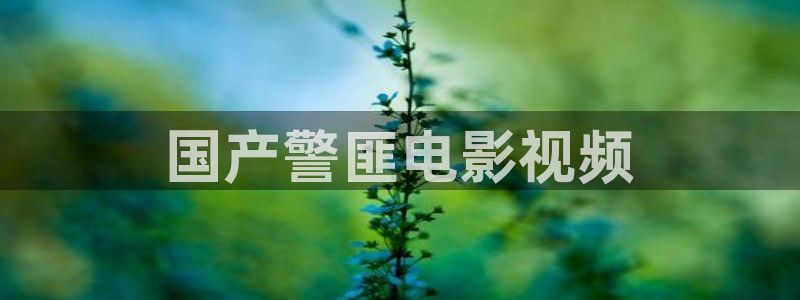 抓娃娃星辰影院在线观看