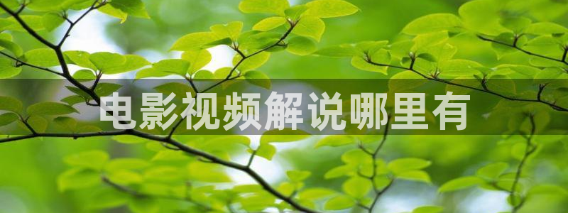 知否在线观看完整版免费星辰影院