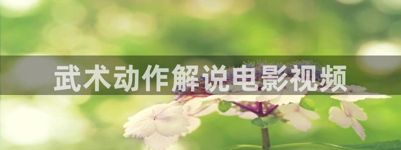星辰影视哪里下载