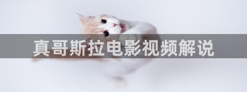 神话在线观看星辰影院