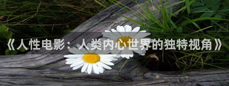 新生星辰影院