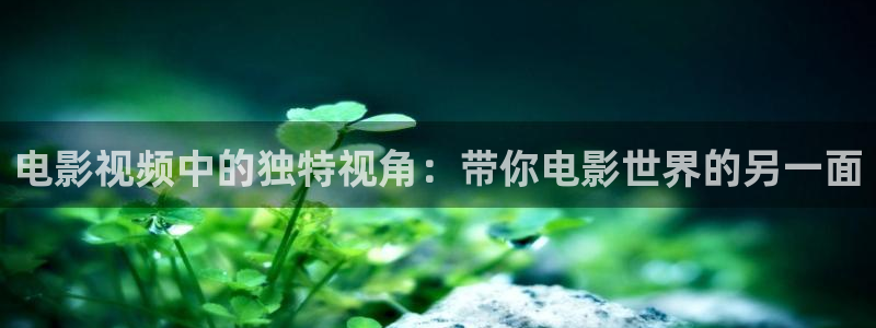 猎罪图鉴2在线观看星辰影院