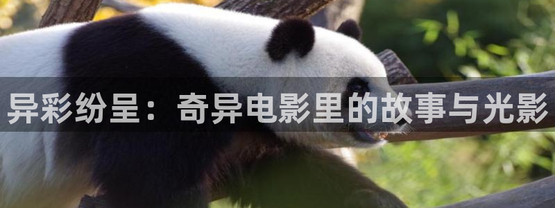 星辰影院电视剧在线看免费完整版