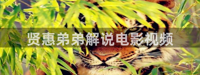 《乘风2025》星辰影院