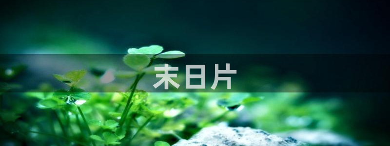 星辰影院在线观看完整版电视剧