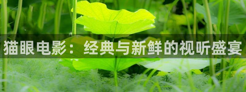 策驰影院星辰影院免费观看