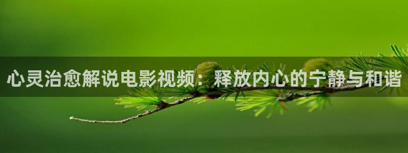 玫瑰的故事星辰影院在线观看