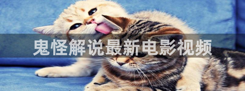 星辰影院视频在线