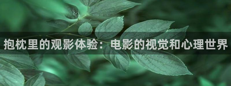 星辰影院电视剧在线