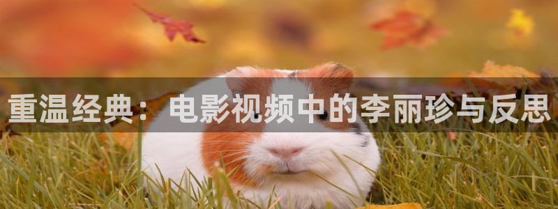 放牛班的春天星辰影院