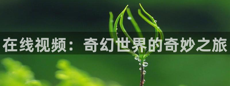 我的人间烟火电视剧免费观看星辰影院