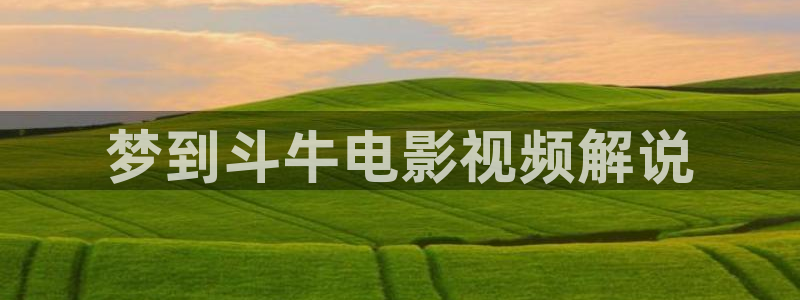 时光代理人英都篇免费观看完整版星辰影院