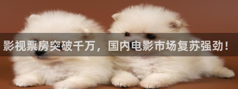 少帅电视剧星辰影院