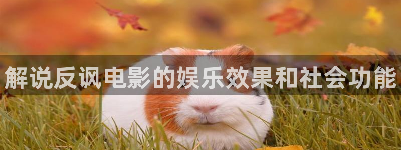孤注一掷星辰影院免费观看