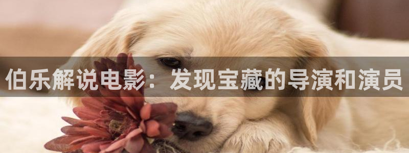 我是刑警星辰影视