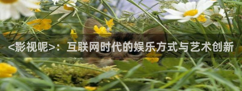 星辰影院免费观看电影 星辰视频