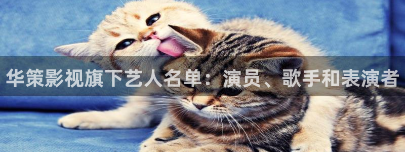 星辰大酒店